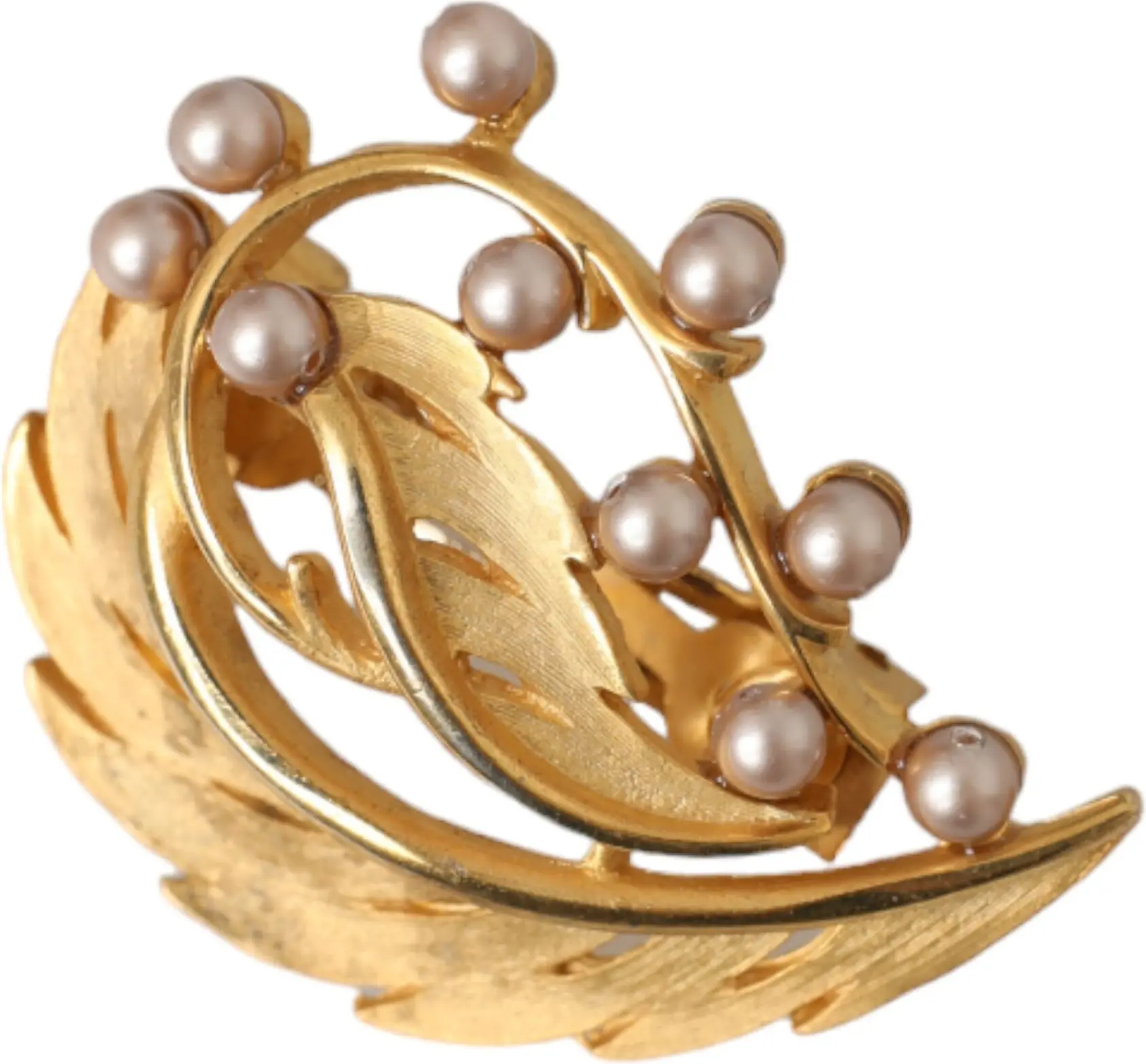 סיכת שיער ברוש Dolce & Gabbana