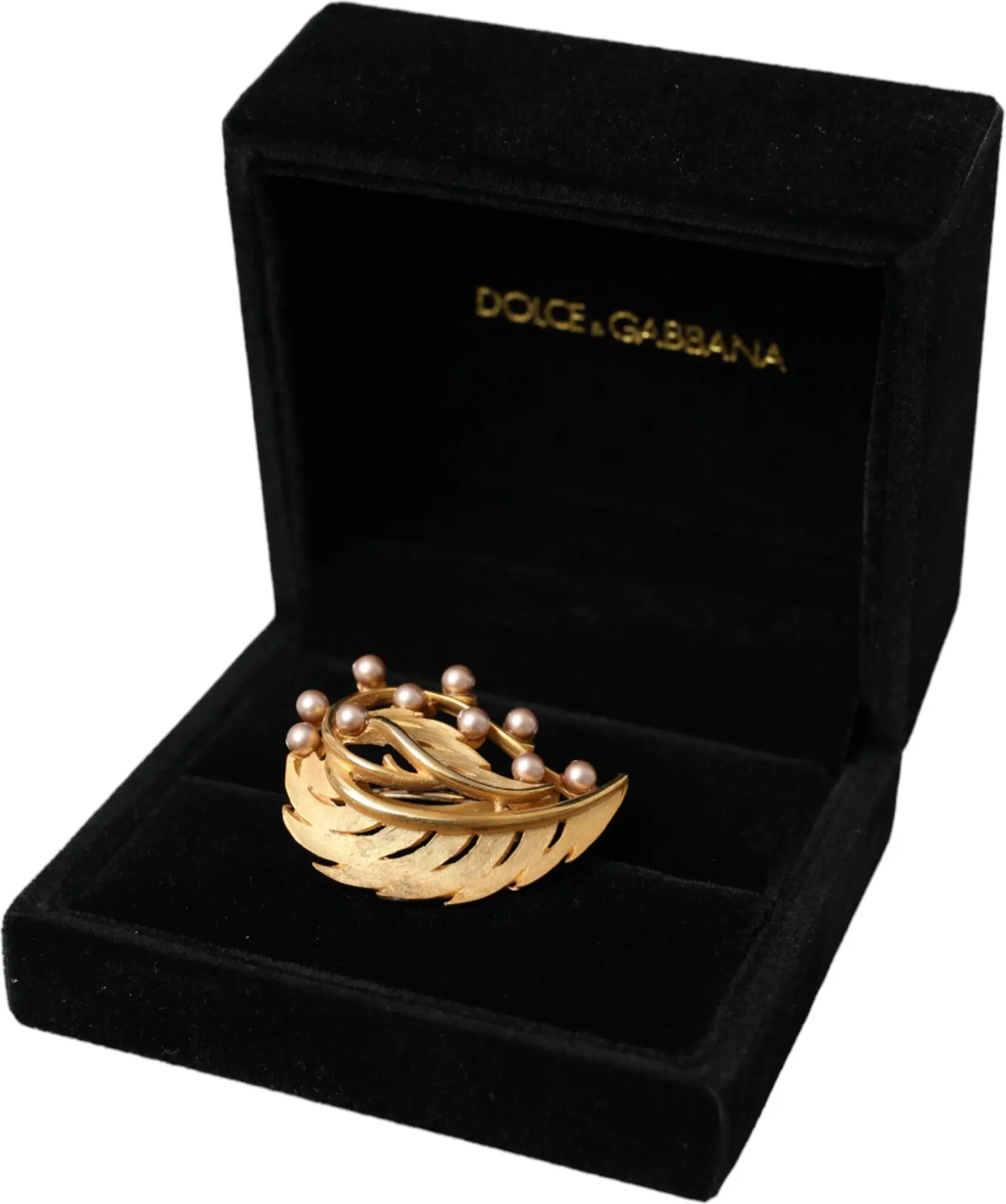 סיכת שיער ברוש Dolce & Gabbana