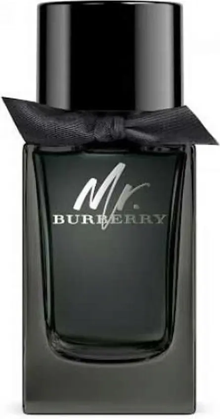 Burberry Mr. Burberry