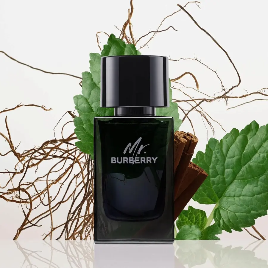 Burberry Mr. Burberry