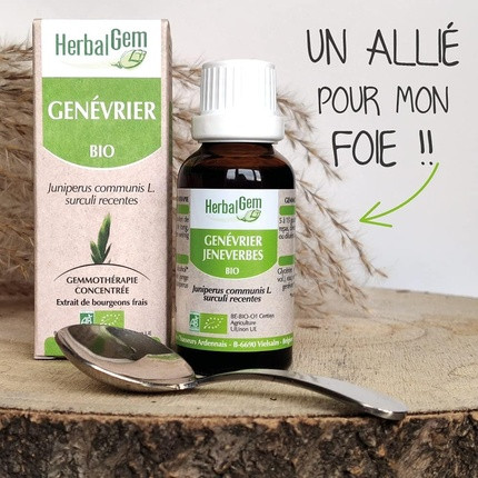 Vitamin Serum Herbalgem
